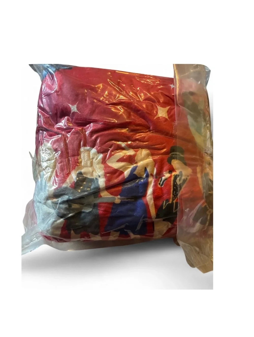 Taylor Swift / Swiftie / Eras Tour Inspired Fleece Blanket 50x60 NWT